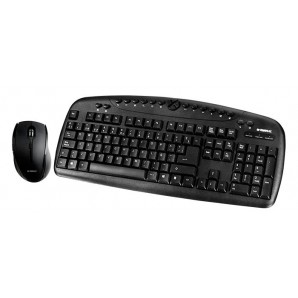 Teclado y raton B MOVE